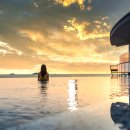 아일랜드리솜 이미지