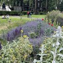 런던동물병원 이미지