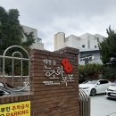 대구 능소화 명소 | 능소화폭포부터 캣냅 실시간 방문 후기와 사진 꿀팁까지