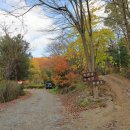 형제송입구 이미지