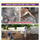 (주)브엘세바