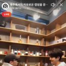 스테이 어라운드 이미지