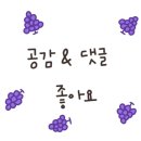 셈프레베네 이미지