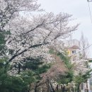 대구매호초등학교 이미지