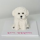 프프프스토어 이미지