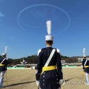 태극그린