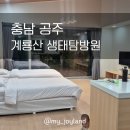UR(공주시)-[동학사1로]-상-14 | [충남 공주] 갓성비의 신상 숙소 | 계룡산 생태탐방원
