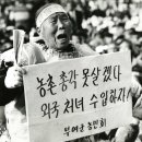 농촌총각