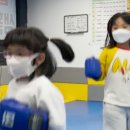 키즈 펀 태권도장 이미지