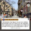 풍남동-01(동부시장 앞) | [토론토 한인 여행사 퀘벡 여행] '파란여행'의 퀘벡2박3일 여행후기 (2026.03.24)