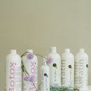 신데렐라미용실 이미지