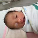 큰빛웅촌병원 | 이대목동병원 쌍둥이 제왕절개 출산 후기(37주2일 / 4박5일 입원 / 전종관 교수님)