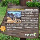 정지운선생묘 이미지