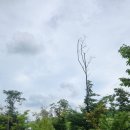 브라운스톤@(24단지) 이미지