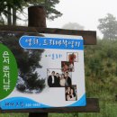 동양목장 이미지