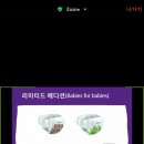 노아네프 | 240~246] 8개월 진입 :: 발달상황/잡고일어서기/밤중수유중단후기/이유식거부 극복/홀츠타이거/노아의방주