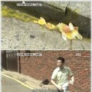 대화식당 이미지