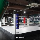 코리안 복싱센터 이미지