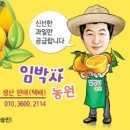 하바다 통나무집 이미지