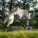 화정공원 이미지