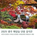 단풍두부 | 경기도 단풍명소 곤지암 화담숲 주차 예약 스탬프투어 실시간 단풍 후기