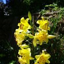 매봉산1 이미지