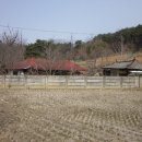 전북 군산에서 전원생활을..(주택및 텃밭포함 320평) 이미지
