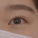 봄봄뷰티살롱 - 제주시 | [성남 속눈썹] 봄봄뷰티살롱에서 속눈썹 크라운펌 했어요!