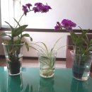 춘포보건지소 이미지