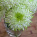 한국개발연구원(KDI) 이미지