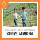 알토란사과체험마을 | 맛보고 즐기는! 예산군 농촌체험농장 🍎알토란 사과마을🍎