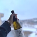 Weingut Saalwachter, Weisser Burgunder, 2022(바인굿 잘베흐터, 바이서 부르군더)