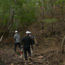 조야분소 이미지