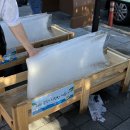 칼라모텔 | [군산] 한여름의 군산 여행 | 군산 해담, 군산과자조합, 카페신민회, 군산골목집