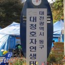 백만송이 국화 축제 이미지