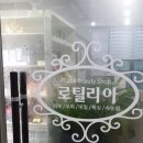 로틸리아 이미지