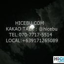 금상투어