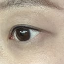 과천대로1가길 이미지