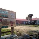 개스트하우스다냥 이미지