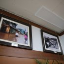 고살메갈꽃체험마을 이미지