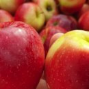 은경농장 이미지