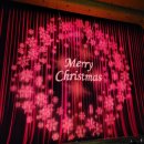 불가리아 바르나 국립발레 호두까기인형 | '24.12.21 예술의전당) 2024 국립발레단 <호두까기인형>