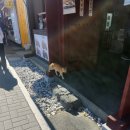 첨성로1(남) 이미지