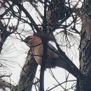 두리세탁소 이미지