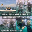 스노클링 | 발리 신혼여행 누사두아 액티비티 스노클링 후기 유투어 패키지 발리돌핀