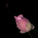 삼광목장 이미지