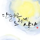 느리게살자