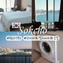 월드스테이트속초레지던스호텔 | 속초 고성 숙소 추천 중앙시장 가까운 한달살기 레지던스 쏘타스위트 월드스테이트 호텔