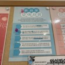 용산-201 | 오붓 웰니스 패스 8회권 내돈내산 후기