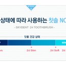 스카이덴트 이미지